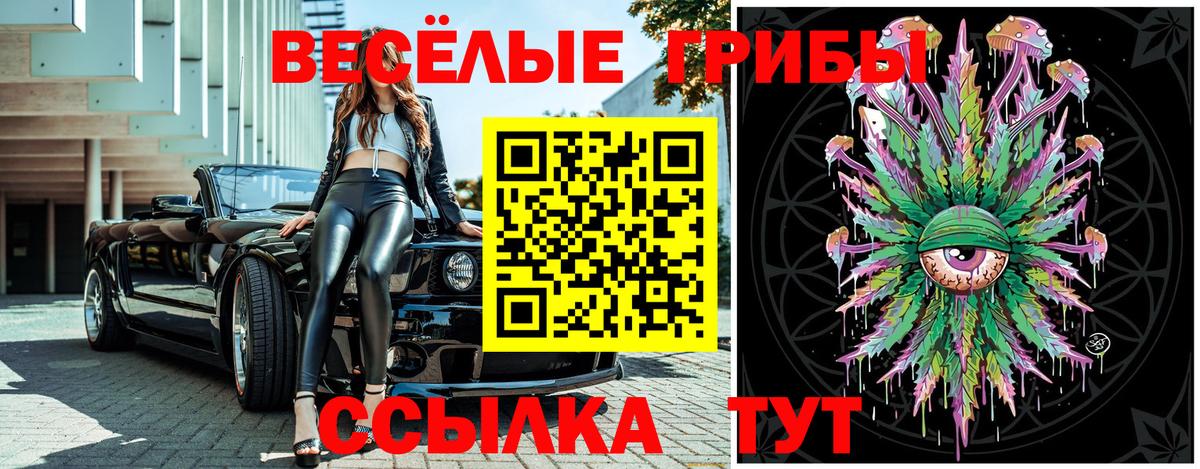 Галлюциногенные грибы Cubensis  Вход с VPN  Псилоцибиновые грибы Psilocybine cubensis  сколько стоит  Чехов 