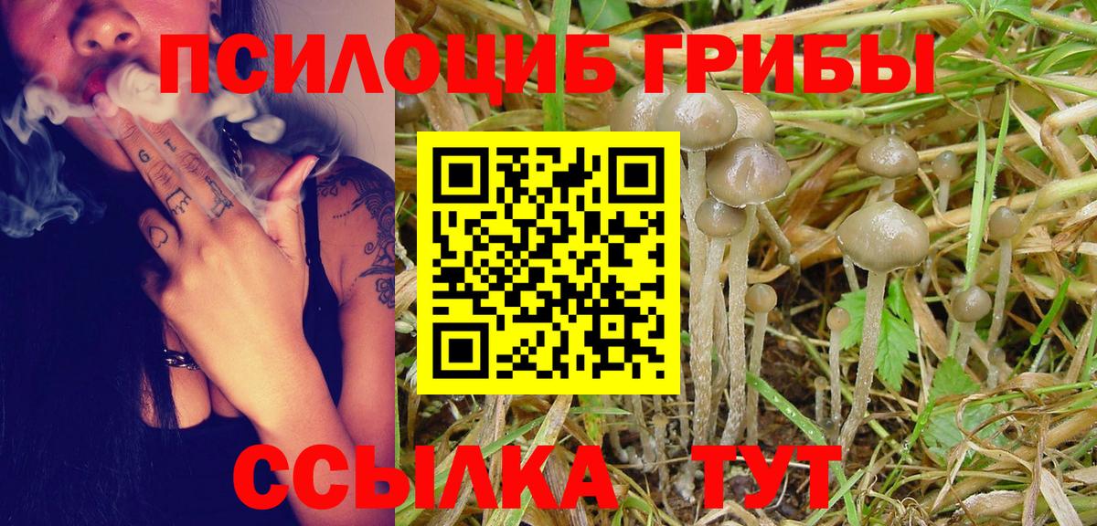 Галлюциногенные грибы Magic Shrooms Чехов